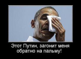 Солянка для Майдана. Часть 17