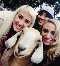 Фотоподборка за 08.12.2014