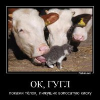  Каких моделей искали в Google в 2014 году