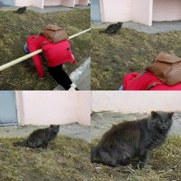 на себя посмотрите:)