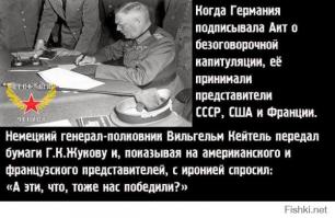 Медведи наваляли люлей  Амерасам