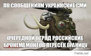 это точно совсем мозги украинцам засрали калломои проклятые