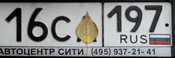 листики осенью тоже как угрозу оценят?