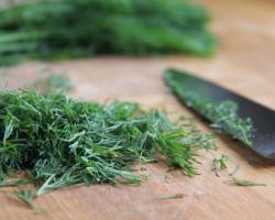 Подборка видео из Иловайского котла от "Алабая"