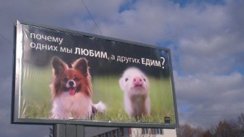 смотришь на картинку по другому, если ее повесят в Корее.