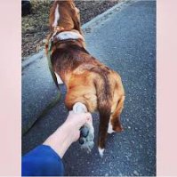 Следуй за мной