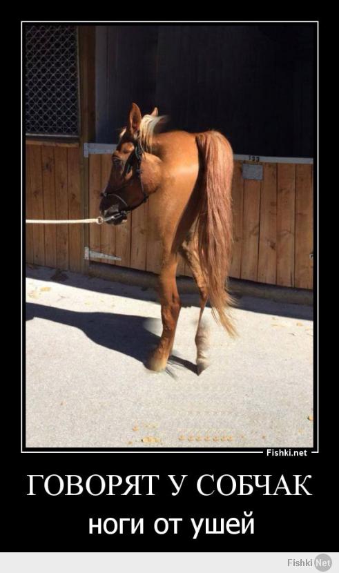 Неудачные панорамные снимки 