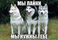 Извини, чувак, Не лайкнул фотку котёнка, не лайкнул пост разоблачения сговорившихся лайкодрочеров.

Я теперь тролль, или лайкодрочер?

А вот ты реальный мудак. Не можешь просто жить с котом в своё удовольствие, одобрение общественности, лайками измеряемое тебе подавай...

Не достоин ты кота своего, и от своры лаек, тебе поставленных защитить его не сможешь.