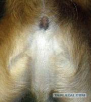 У природы отличное чувство юмора