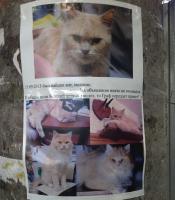 Я б тоже не отдал.