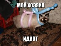 Раскрась свою кошку!