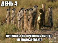 Здесь что-то не так 