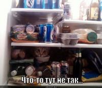 Здесь что-то не так 