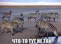 Здесь что-то не так 