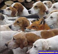 Здесь что-то не так 