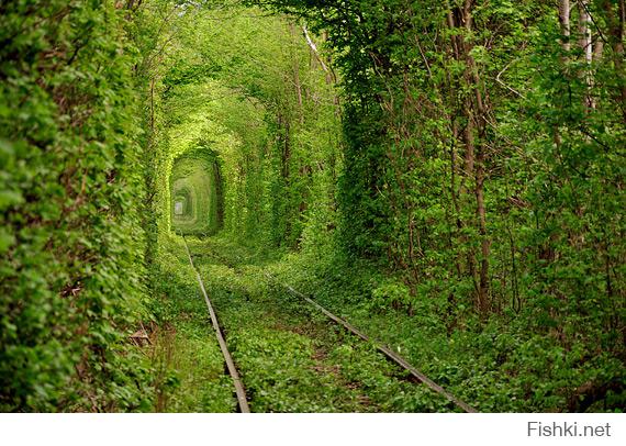 Самые необычные транспортные тоннели