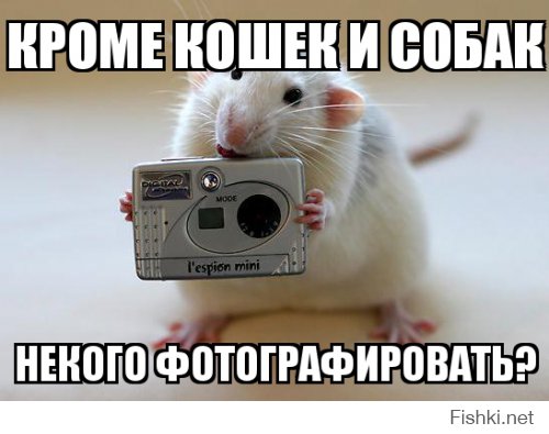 Персональные фотографии животных