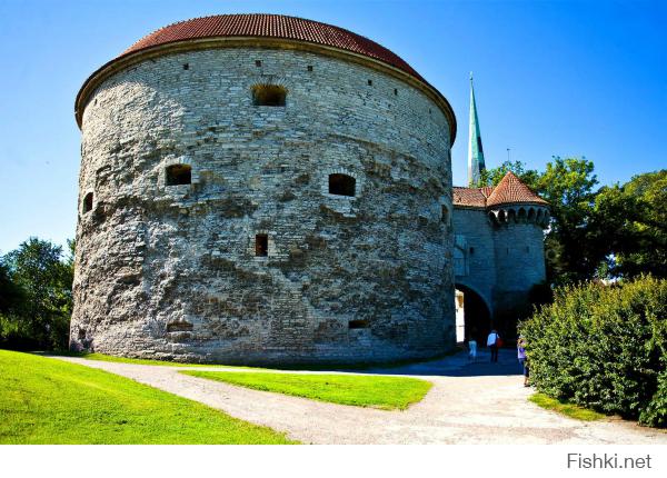 До нее не дошел,а называется она и впрямь Толстая Маргарита!