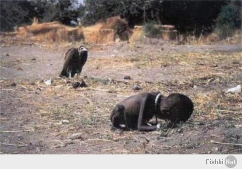 К началу лета 1994 года Кевин Картер (Kevin Carter, 1960-1994) был на вершине славы. Он только что получил Пулицеровскую премию, предложения работы от знаменитых журналов сыпались одно за другим. «Меня все поздравляют», — писал он родителям, — «Не могу дождаться встречи и показать вам свой трофей. Это — самое высшее признание моей работы, о котором я не смел и мечтать».
Кевин Картер получил Пулицеровскую премию за фотографию «Голод в Судане», снятую в начале весны 1993 года. В этот день Картер специально прилетел в Судан, снимать сцены голода в маленькой деревне. Устав от съемки умерших от голода людей он вышел из деревни в поросшее мелким кустарником поле и внезапно услышал тихий плач. Оглядевшись, он увидел лежащую на земле маленькую девочку, по всей видимости умирающую от голода. Он хотел сфотографировать ее, но внезапно в нескольких шагах приземлился гриф-стервятник. Очень осторожно, стараясь не спугнуть птицу, Кевин выбрал наилучшую позицию и сделал снимок. После этого он подождал еще минут двадцать, надеясь, что птица расправит крылья и предоставит ему возможность сделать кадр получше. Но проклятая птица не шевелилась и, в конце концов, он плюнул и отогнал ее. Тем временем девочка видимо набралась сил и пошла — точнее сказать поползла — дальше. А Кевин сел возле дерева и заплакал. Ему вдруг жутко захотелось обнять свою дочь...