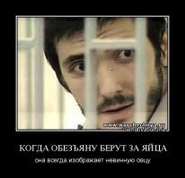 Другая версия избиения на парковке в Петрозаводске