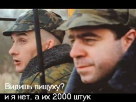 Первые фотографии илийской пищухи за последние 20 лет