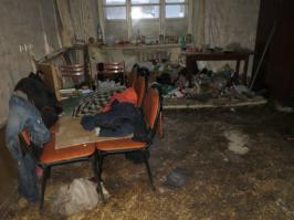 Жилища настоящих киноманов