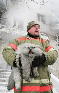 Сомневаюсь что тут было какое то добровольное спасение)