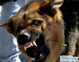 Не зли лихо...