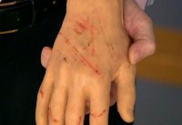  Давай пять, котейка!