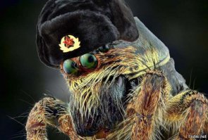 10 недавно открытых видов животных