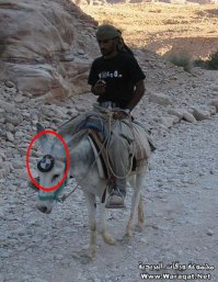 эта бэха для них самое то будет...