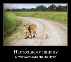 Прости, нам с тобой не по пути.