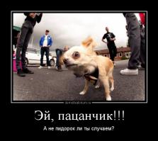 Какой-то мелкий мстительный *****ок пробежался по всем моим комментам, минусанул по разу. Не ты ли это был, мой сладкий друг?