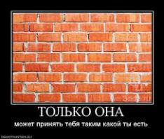 Премьер, послушайте генерала