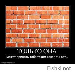 Премьер, послушайте генерала