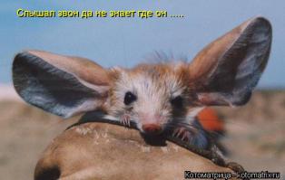 Справка из метрополитена