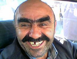 Типичные омичи