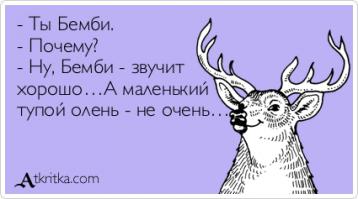 Я вам сочувствую, копировать и вставлять вы научились, а вот читать - пока нет.
Специально для тебя, Бемби, заключительный абзац поста: "Во избежание политических прений: уважаемый Раймонд Паулс в интервью сказал, что какие-то политические суждения и выводы - не дело артиста. И это прозвучало очень достойно".

И кто у нас после этого ты?