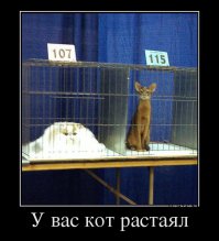 На тему выставок :)
