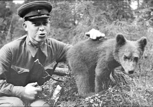 Мохнатый партизан. 1942г.