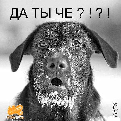 Молодец Батька!