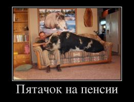 Друзья, которые растут вместе с нами