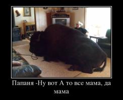 Друзья, которые растут вместе с нами