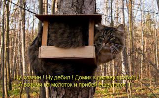 Дом на дереве своими руками