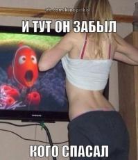 Смешные картинки с подписями