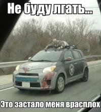 Смешные картинки с подписями 