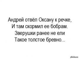 Самая большая бобровая плотина в мире