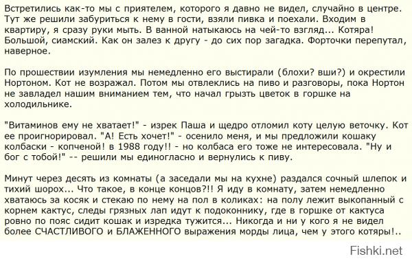 Смешные комментарии из социальных сетей 04.10.14