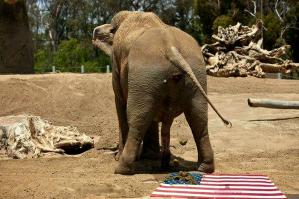 Китайский интернет насмехается над бараком обамой