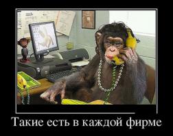 10 профессиональных офисных бездельников